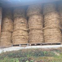 Rotoballe fieno 2,5 qt