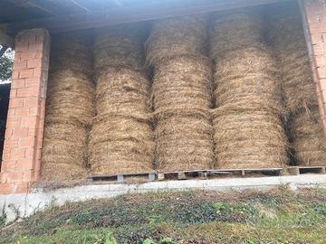 Rotoballe fieno 2,5 qt