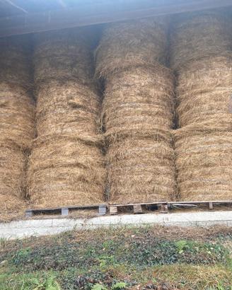 Rotoballe fieno 2,5 qt