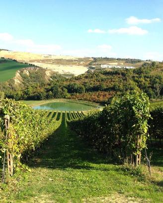 Terreno di 750000 m² a Riolo Terme