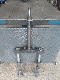 Forcella majesty 250