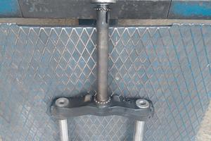 Forcella majesty 250