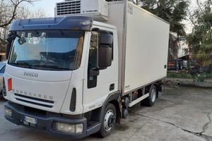 Eurocargo frigo