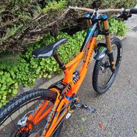 Specialized DEMO 8 Troylee designs