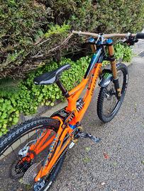 Specialized DEMO 8 Troylee designs