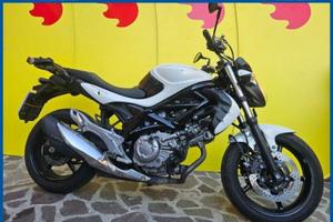 SUZUKI Gladius 650 Garantita e Finanziabile