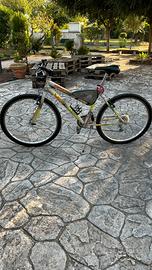 Bicicletta Mountain Bike