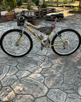 Bicicletta Mountain Bike
