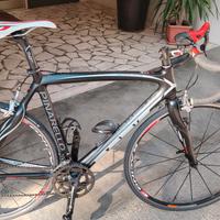 pinarello 