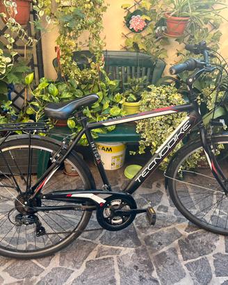 Bici TECNOBIKE Integra