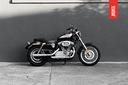 harley-davidson-sportster-xl-1200r-2005