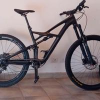 mtb 29” specialized carbonio