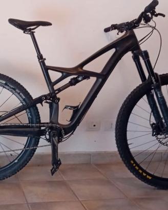 mtb 29” specialized carbonio taglia L