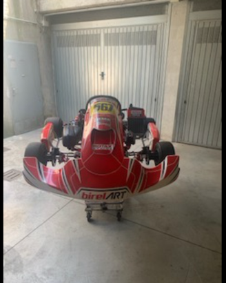 Kart rotax dd2