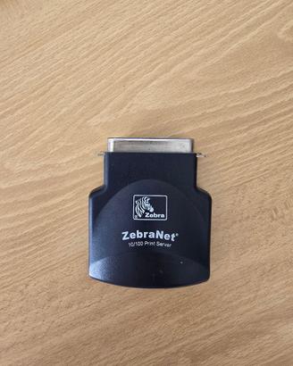 Print Server Zebra
