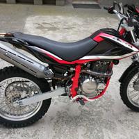 Beta Alp 4.0 - 2019