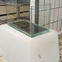Acquario 40 litri 