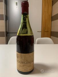 Collezione vini