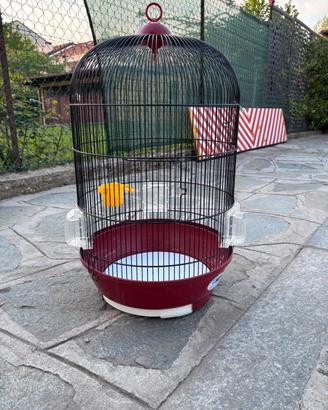 Gabbia rotonda per volatili