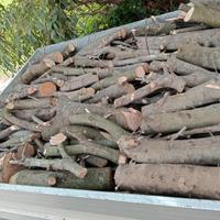 legna di oliva/ olivastro 