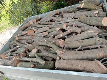 legna di oliva/ olivastro 