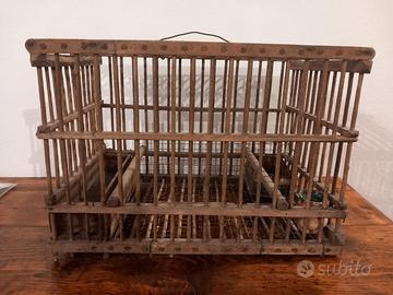 gabbia uccelli