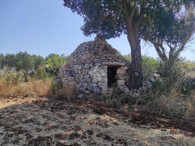 RUSTICO A MARTINA FRANCA