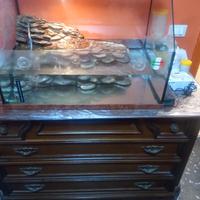 Acquaterrario tartarughe/anfibi/pesci