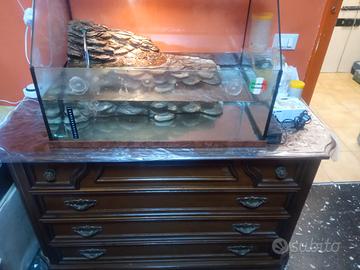 Acquaterrario tartarughe/anfibi/pesci
