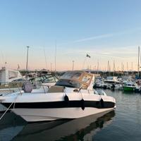 Nauti
