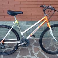 bicicletta MTB Aliverti