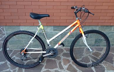 bicicletta MTB Aliverti