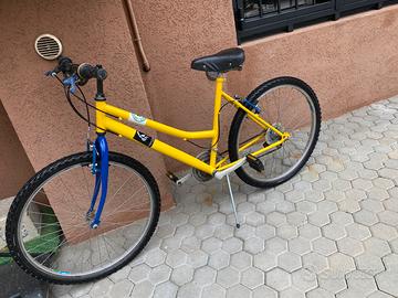 Bici MOUNTAIN BIKE