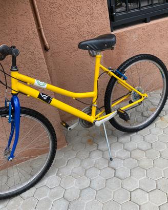 Bici MOUNTAIN BIKE