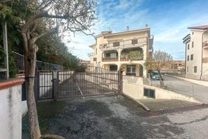 Appartamento - Belvedere Marittimo