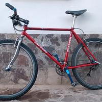 mtb Carraro