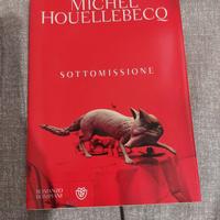 Michel Houellebecq sottomissione