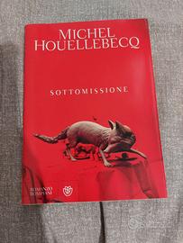 Michel Houellebecq sottomissione