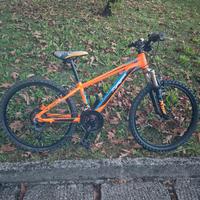 mountain bike misura24'