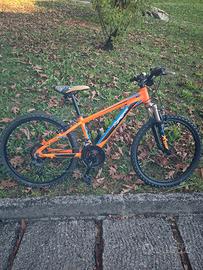 mountain bike misura24'