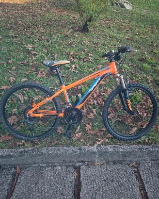 mountain bike misura24'