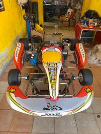 Go kart Parolin 125cc Easykart
