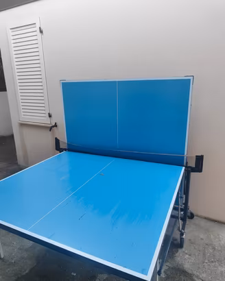 Tavolo da Ping Pong