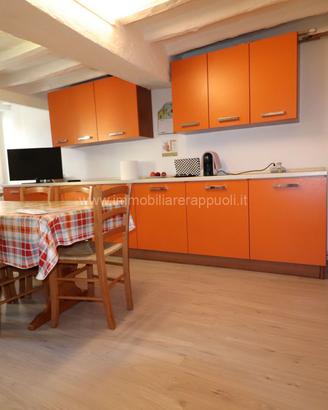 AP39 - Siena appartamento di mq 109