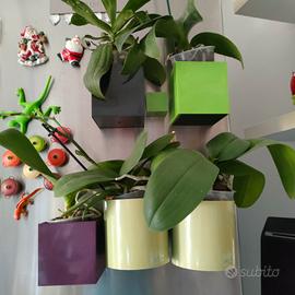 VASI/PORTAOGGETTI  CALAMITATI PER FRIGO  ecc.