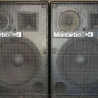 MONTARBO 315A COPPIA CASSE AMPLIFICATE A 3 VIE