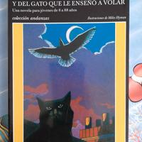 Libro di lettura in spagnolo 