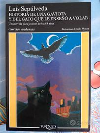 Libro di lettura in spagnolo 