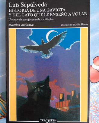 Libro di lettura in spagnolo 
