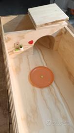 terrario per tartarughe 🐢